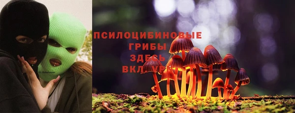 амф Пестово