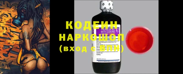 амф Пестово