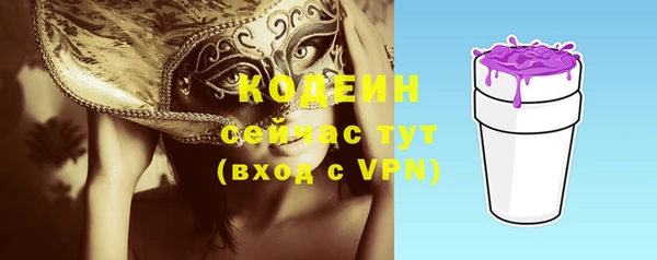 амф Пестово
