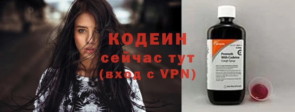амф Пестово