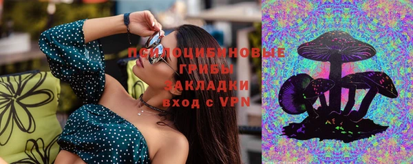 молекула духа Пересвет