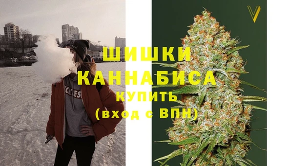 амф Пестово