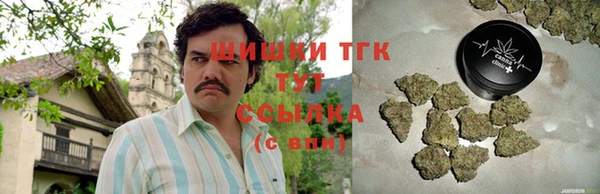 амф Пестово